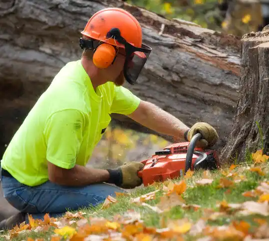 tree services Greendale